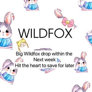 Wildfox Drop!